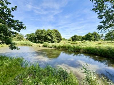 Picture 23